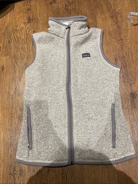 Patagonia Light Gray Fleece Vest